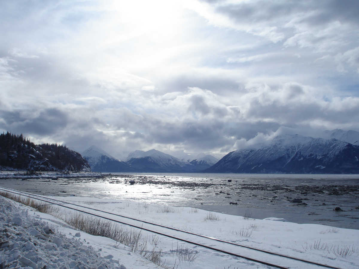 Alaska Oil Pipeline Leak Stopped, Threat to Wildlife Unclear