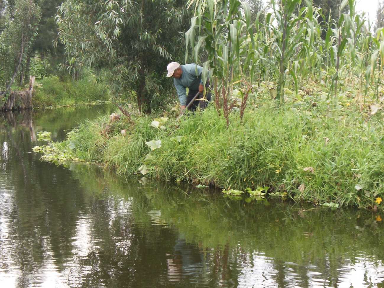 call-for-help-to-recover-chinampas